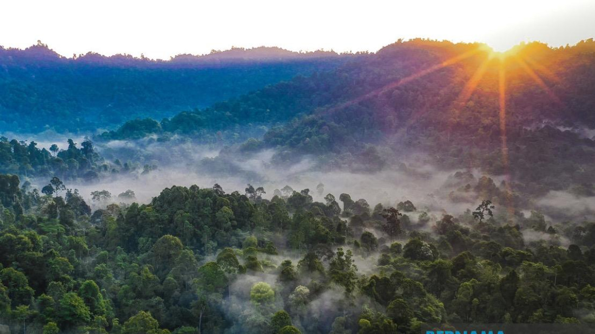 Kelantan Pledges Forest Reserve Replacement for Degazetted Areas