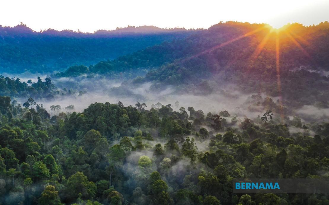 Kelantan Pledges Forest Reserve Replacement for Degazetted Areas