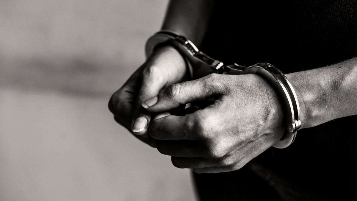Two Pakistani men detained in major three-nation cybercrime crackdown