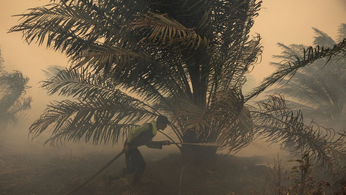 Japan deploys helicopters as Kalimantan haze crisis deepens with ISPU exceeding 1,000
