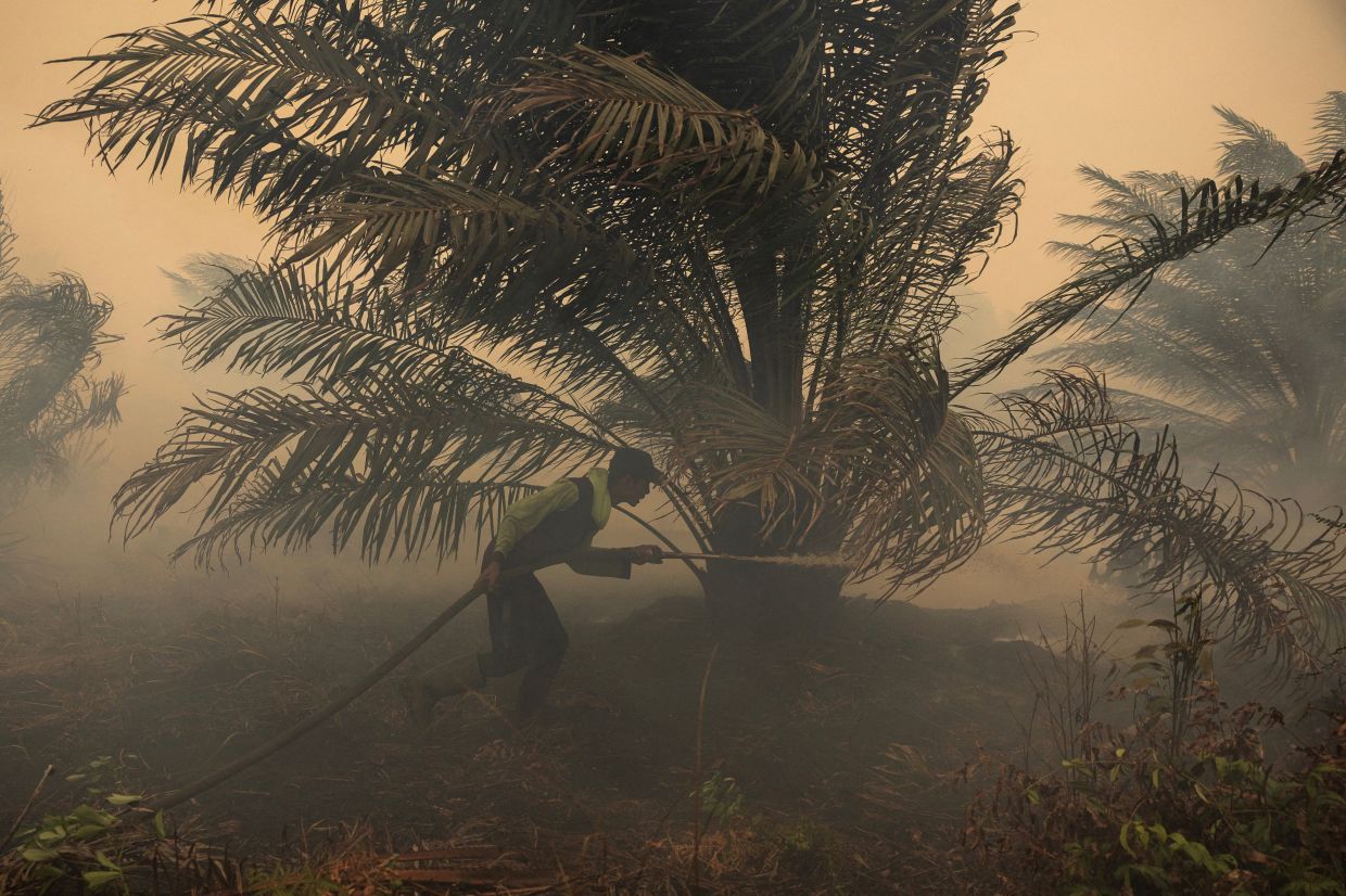 Japan deploys helicopters as Kalimantan haze crisis deepens with ISPU exceeding 1,000