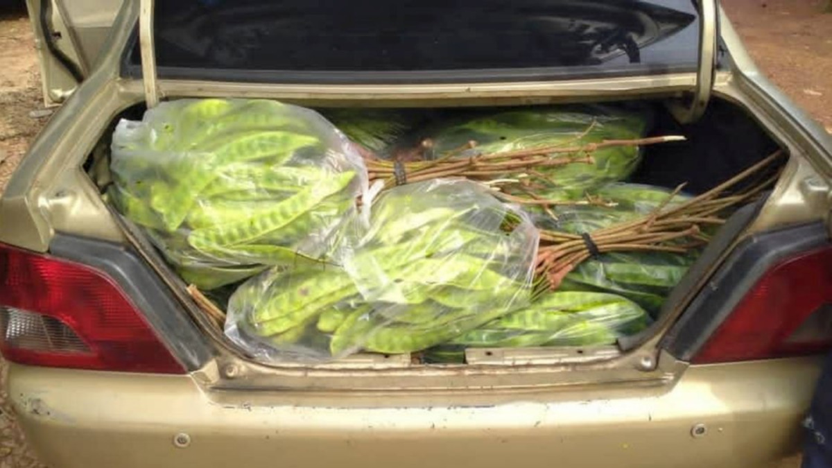 Thai national arrested at Kelantan smuggling point with fruit haul valued at RM8,000