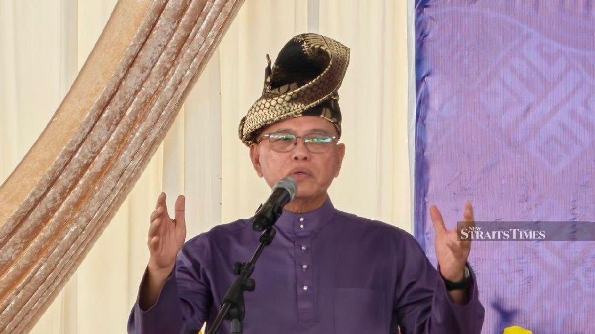 Negri Sembilan Election Result Signals Voter Focus on Governance Over Identity Politics, Says Umno Deputy