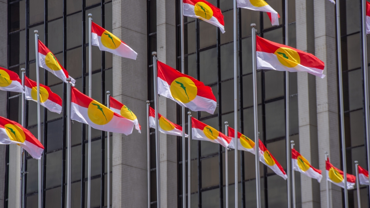 Perlis Umno Determined to Go It Alone in Next Election, Targeting All 18 Seats