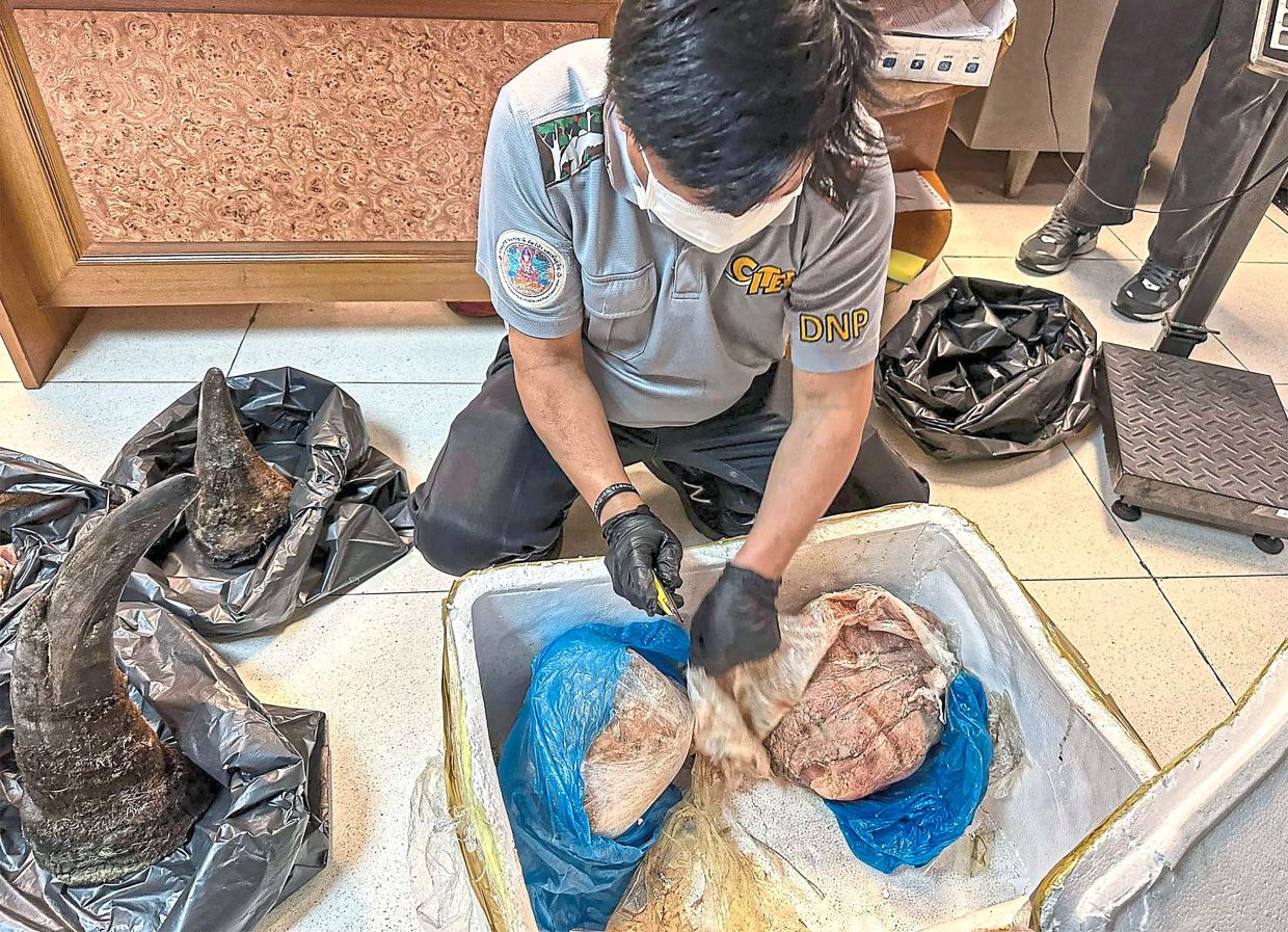 Thailand Deploys 'Zero Trust' Security Framework at Airports to Combat Smuggling Networks