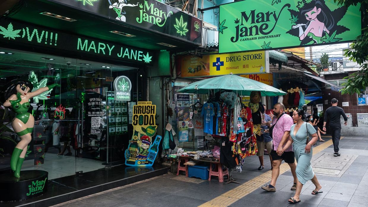 Thailand's Cannabis Crackdown: Regulators Weigh Return to Narcotics List Amid Black Market Surge