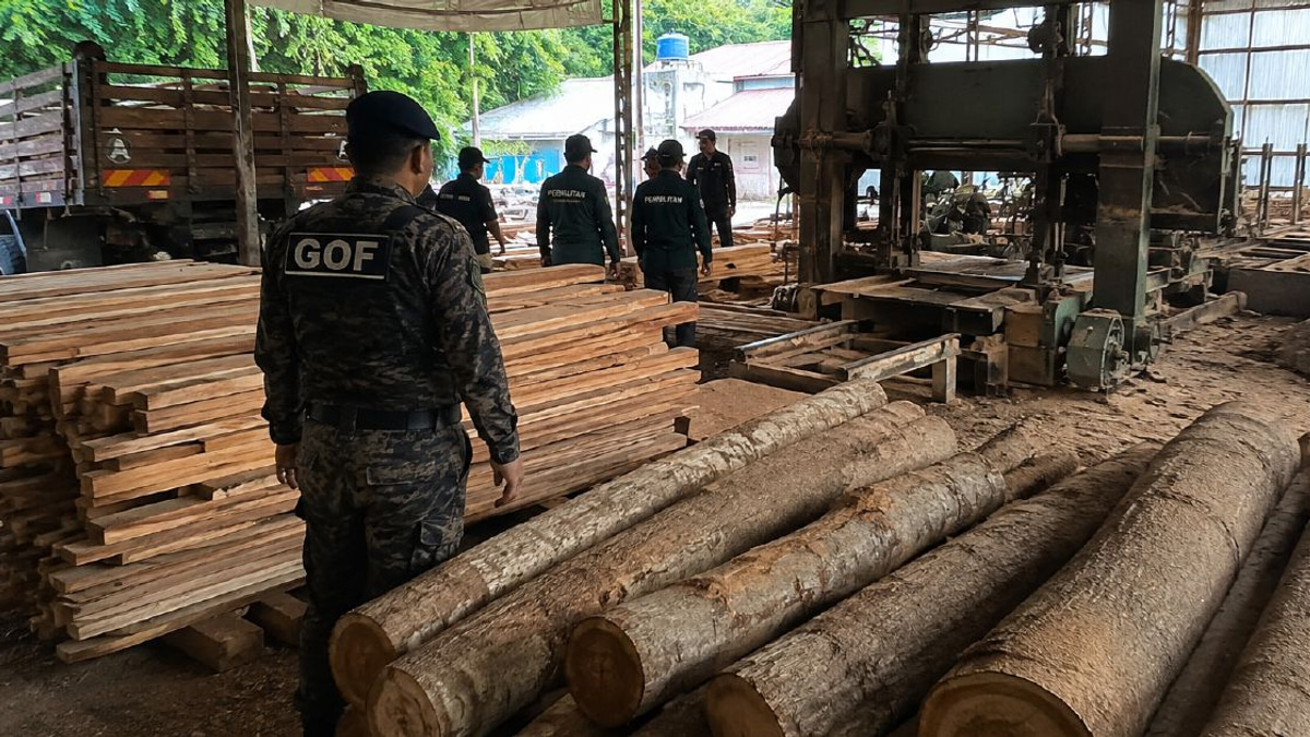 Authorities seize RM640,510 in timber and equipment from Terengganu sawmill, one arrested