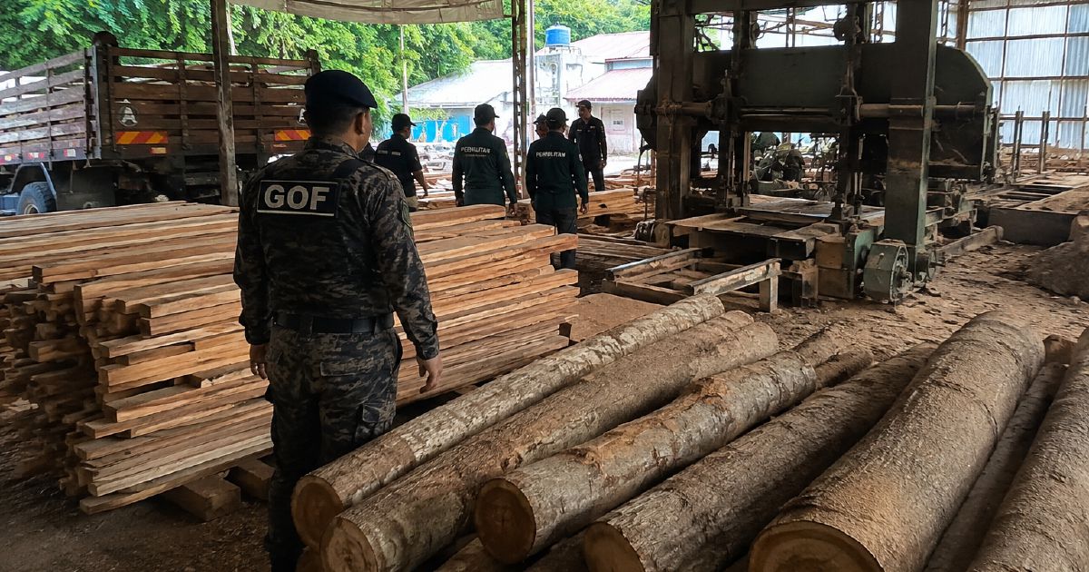 Authorities seize RM640,510 in timber and equipment from Terengganu sawmill, one arrested