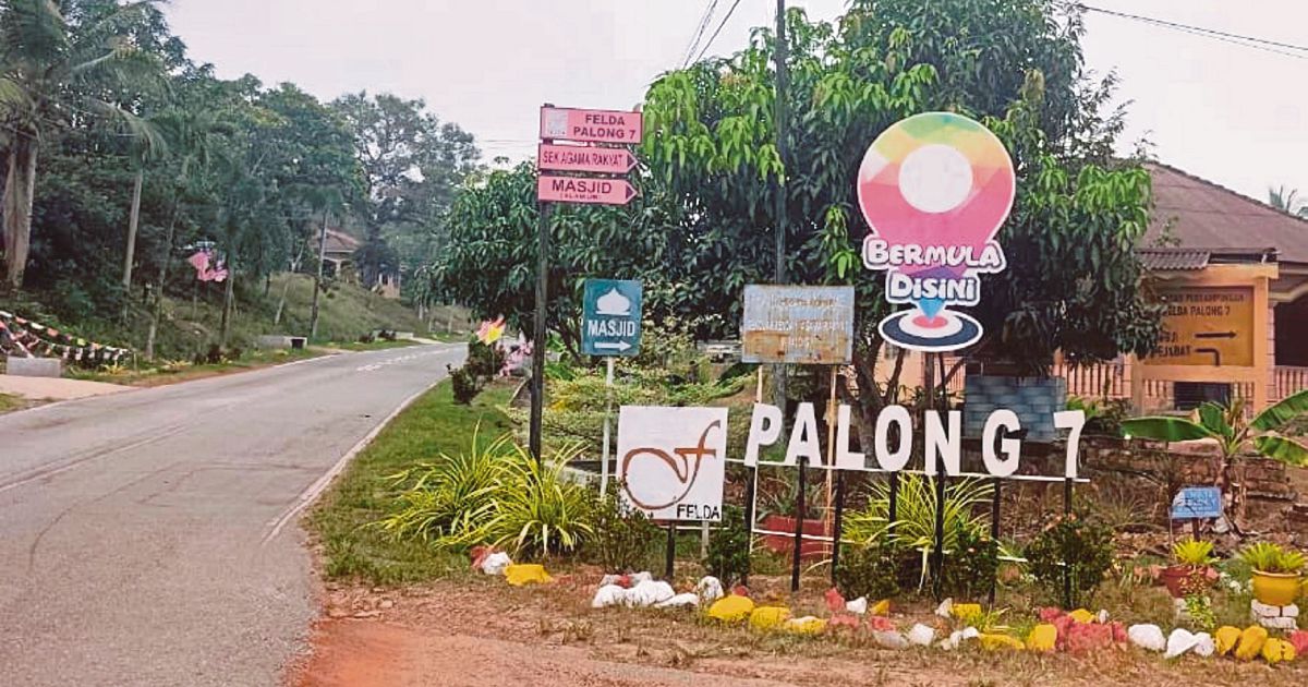 MACC Scrutinises Felda Palong 7 Replanting Project as RM80 Million Irregularities Surface