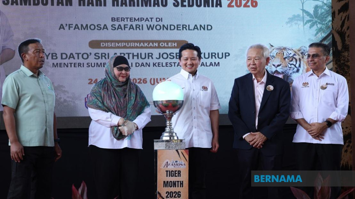 Malaysia's Malayan Tiger Population Shows Encouraging Recovery Under BP3 Programme