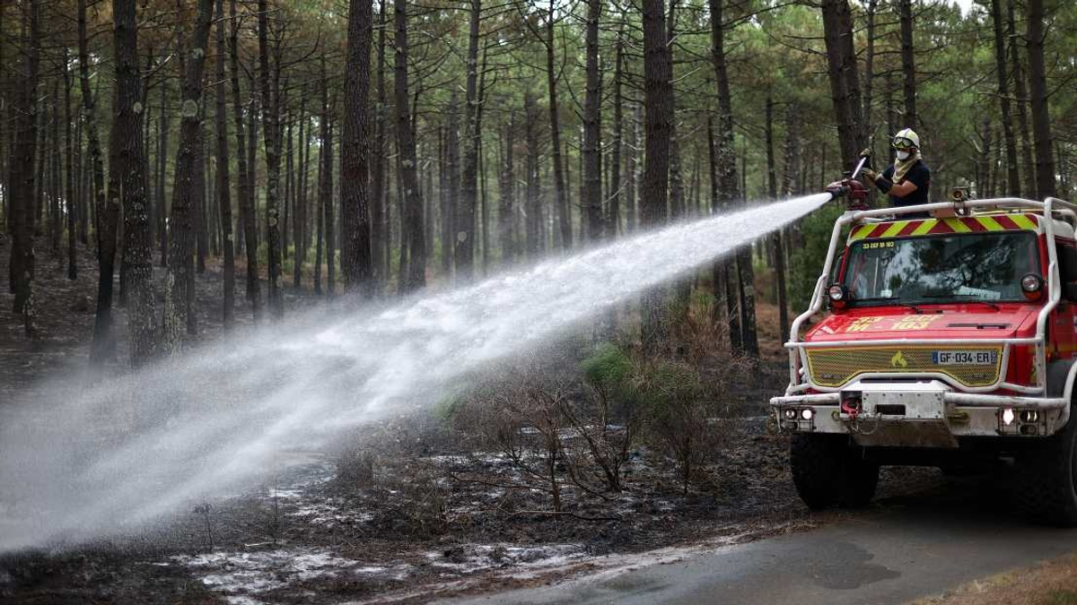 France Arrests Over 300 Suspects in Wildfire Investigation