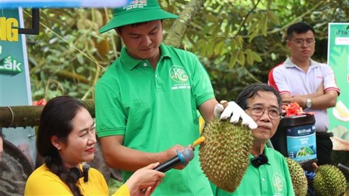 Vietnam's Durian Boom Tested by Certification Fraud as Authorities Overhaul Export Controls