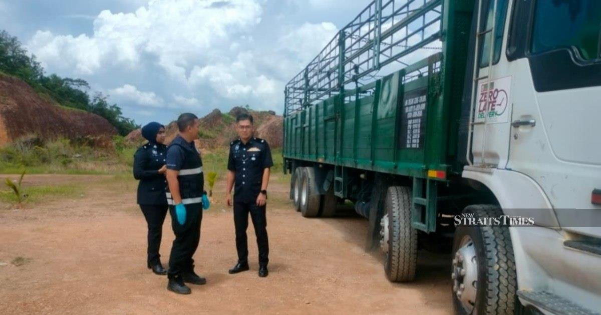 Tragic driveway accident claims two-year-old's life in Kedah; grandfather in custody