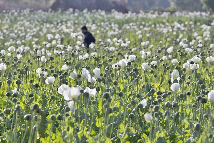 Myanmar authorities seize 17.6 kg heroin and million stimulant pills in major drug bust