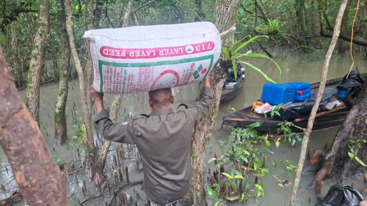 Bangladesh raid exposes toxic shrimp processing threat to Sundarbans ecosystem