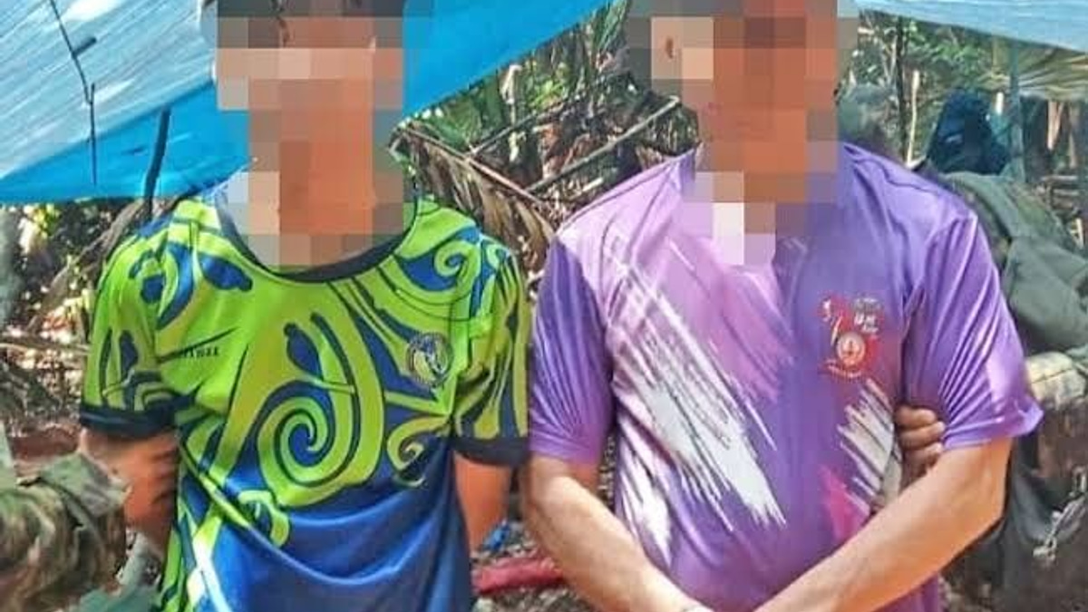 Brunei arrests two foreigners over agarwood theft in protected forest