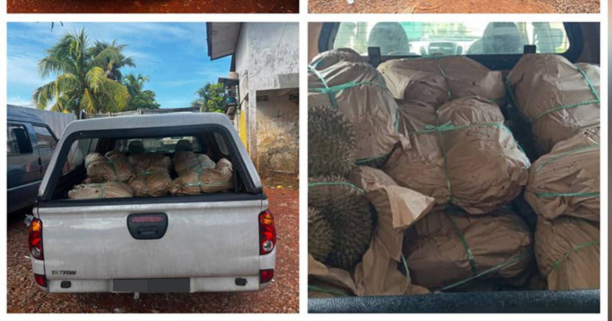 Authorities crack down on durian smuggling at Kelantan border, seize RM50,000 contraband