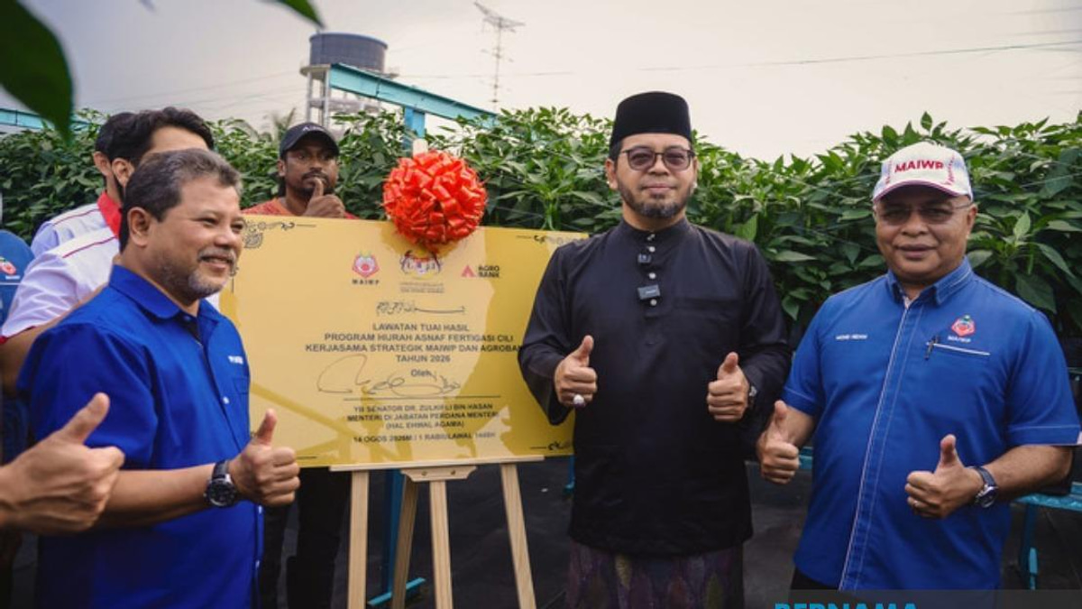 MAIWP Scales Up Asnaf Chilli Farming With Advanced Fertigation Expansion