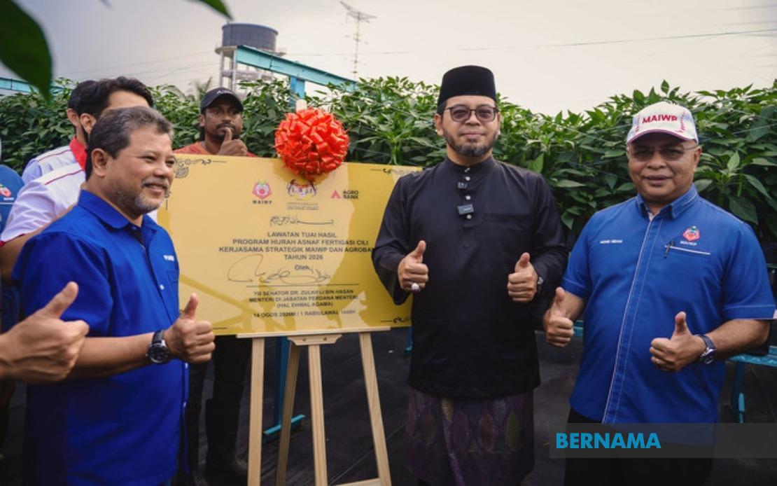 MAIWP Scales Up Asnaf Chilli Farming With Advanced Fertigation Expansion