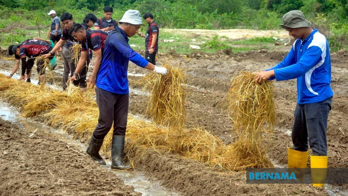 Agricultural TVET Graduate Employment Climbs to 76%, But Still Lags National Average