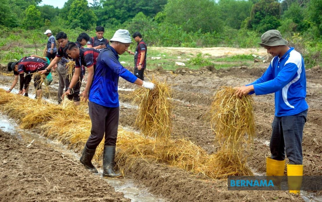 Agricultural TVET Graduate Employment Climbs to 76%, But Still Lags National Average