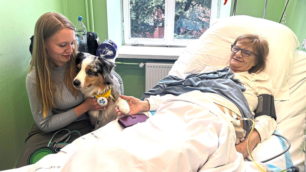 Poland's Push to Guarantee Pet Visits in Hospice Care Offers Comfort to the Dying