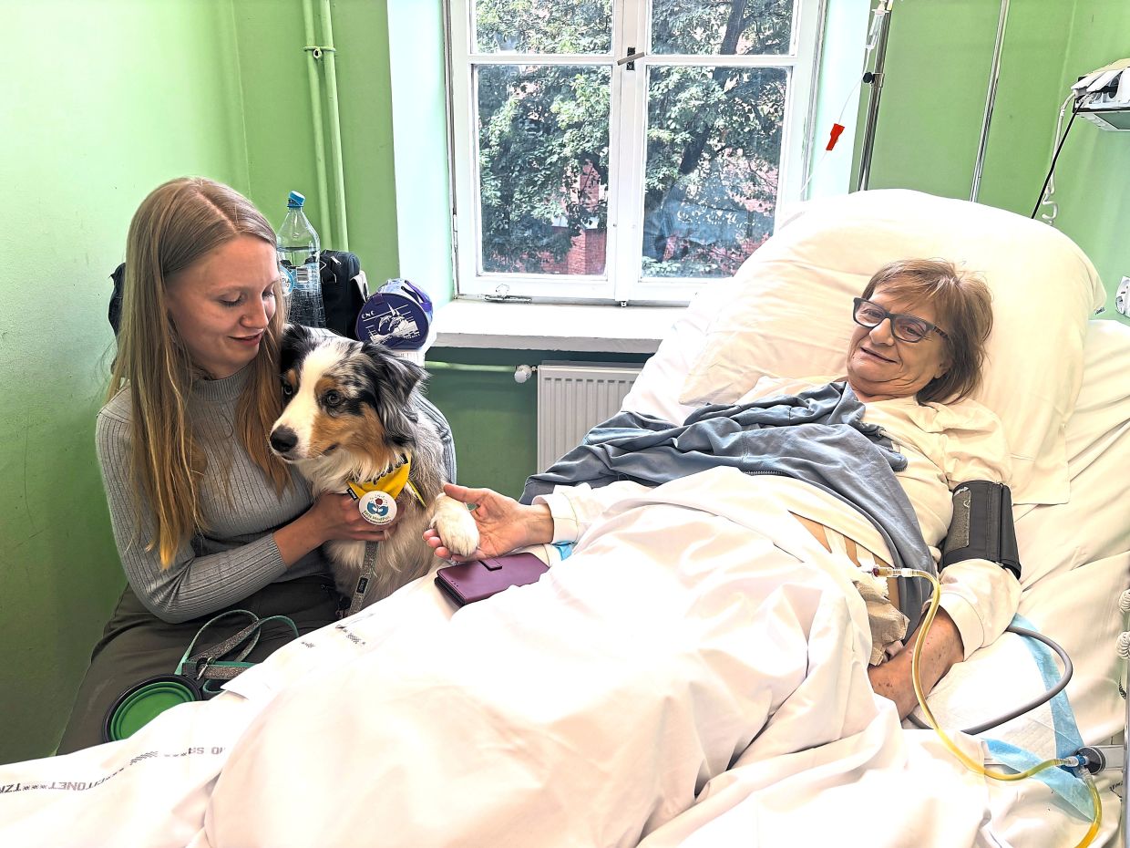 Poland's Push to Guarantee Pet Visits in Hospice Care Offers Comfort to the Dying