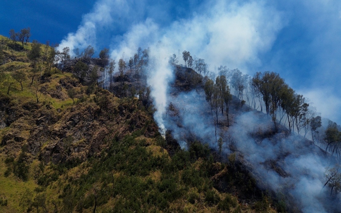 Indonesia Closes Mount Bromo to Tourists as Wildfire Devastates East Java Park