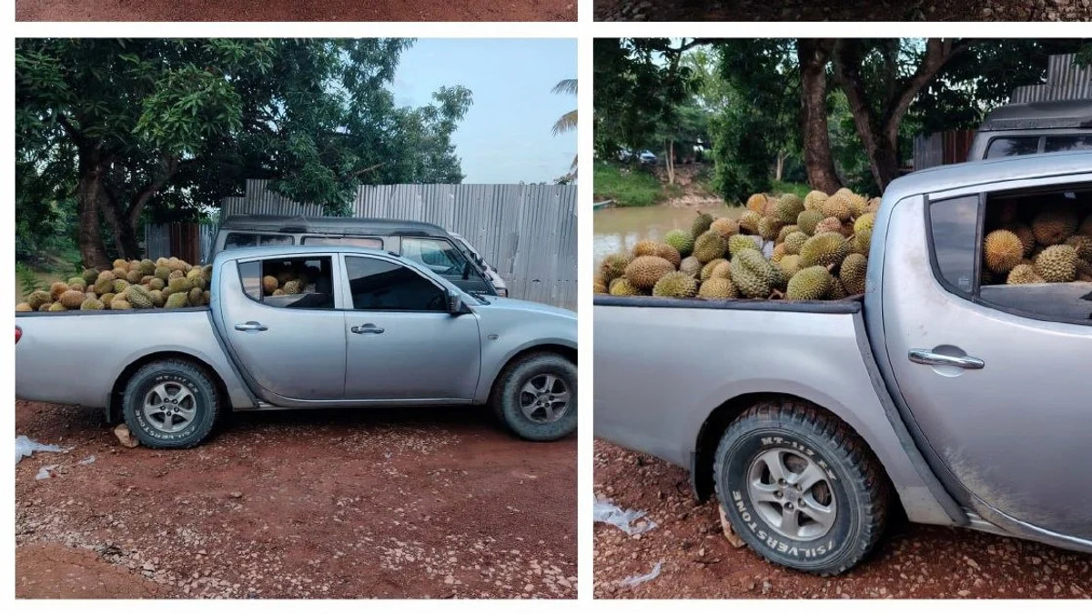 Part-time Driver Arrested with 700kg of Smuggled Durians Near Thai Border