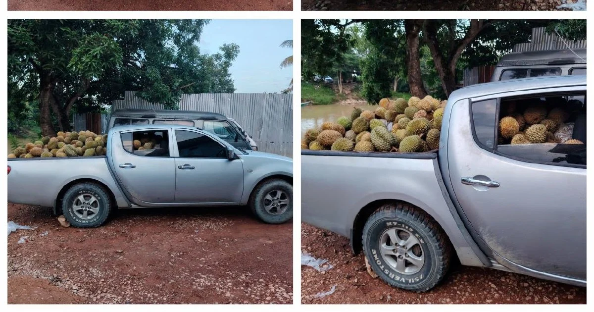 Part-time Driver Arrested with 700kg of Smuggled Durians Near Thai Border