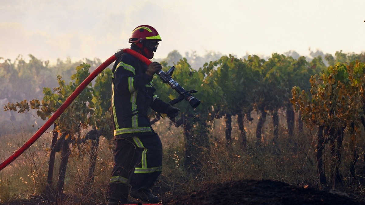 Southeastern France Battles Massive Wildfire as Heat Wave Spreads Across Europe