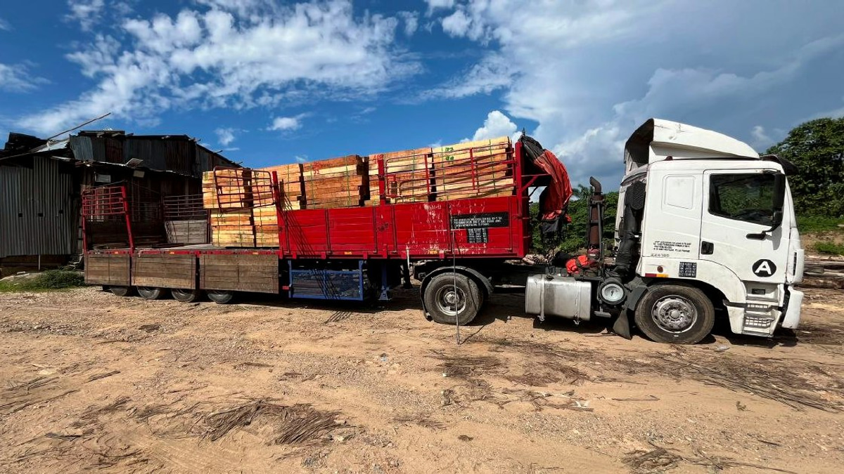 Five suspects detained as authorities dismantle multi-million timber processing network in Kelantan