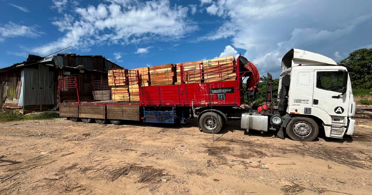 Five suspects detained as authorities dismantle multi-million timber processing network in Kelantan
