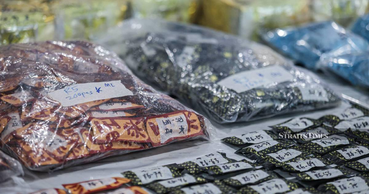 Drug Kingpins Caught in RM6.85 Million Seizure as New Synthetic 'Piu Piu' Emerges as Regional Threat