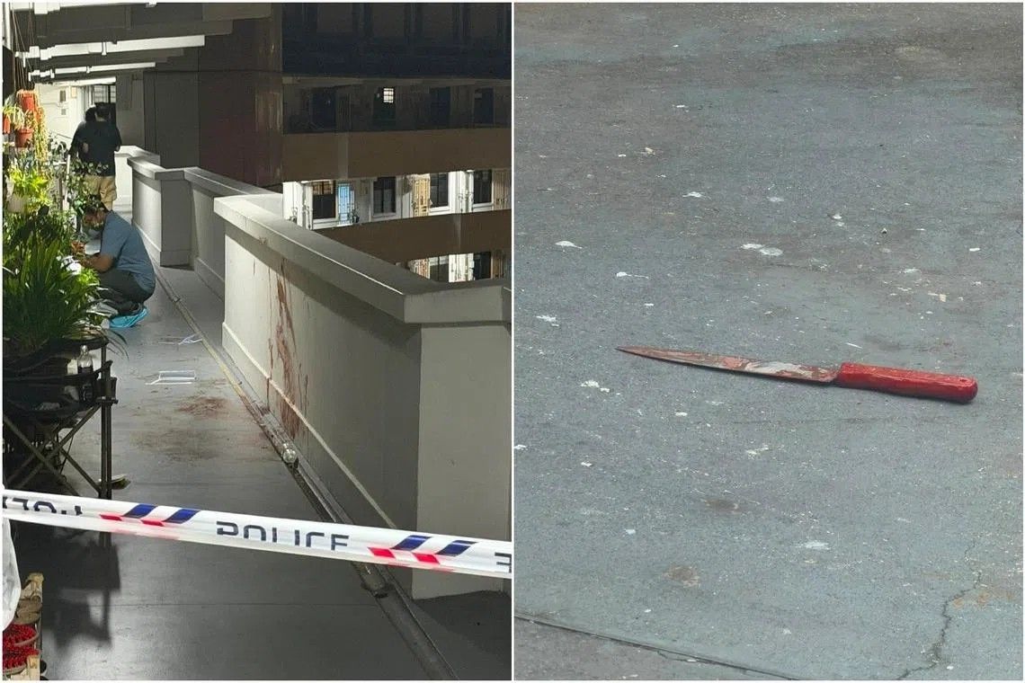 Singapore Man Charged with Murder of Neighbour Following Lengkok Bahru Incident