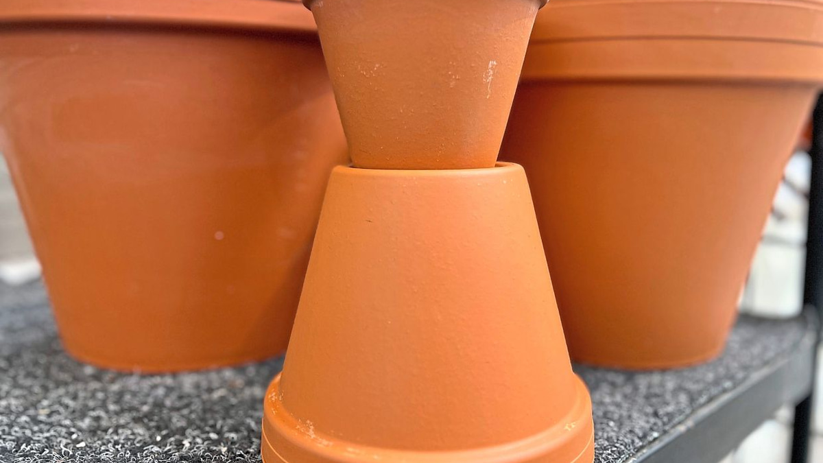 Gardening Without Microplastics: A Malaysian Guide to Cleaner Soil and Sustainable Growing