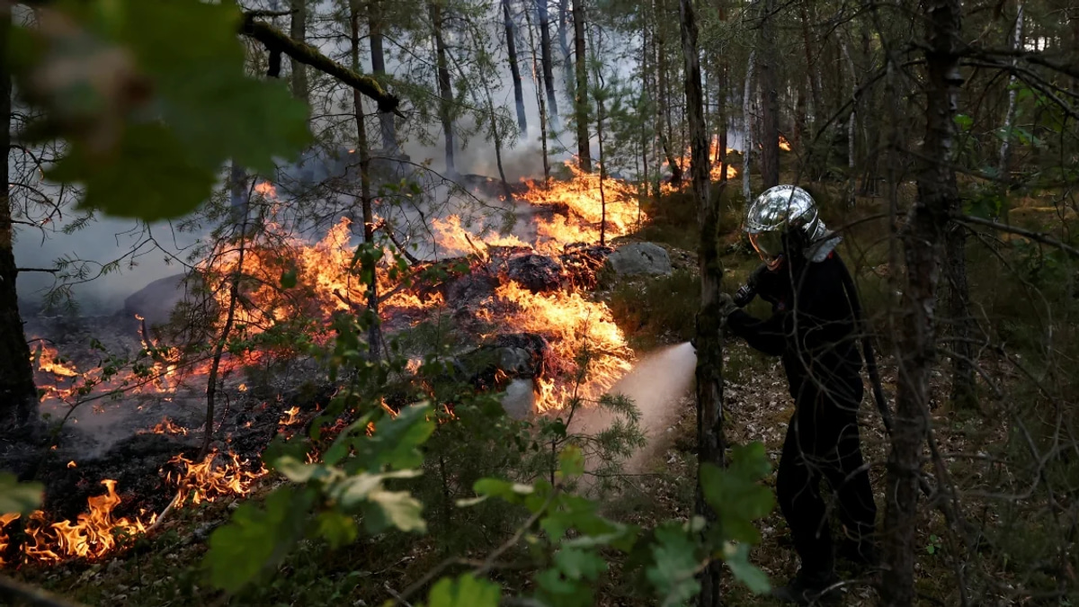 Major wildfires consume 1,300 hectares near Paris; arson arrests follow