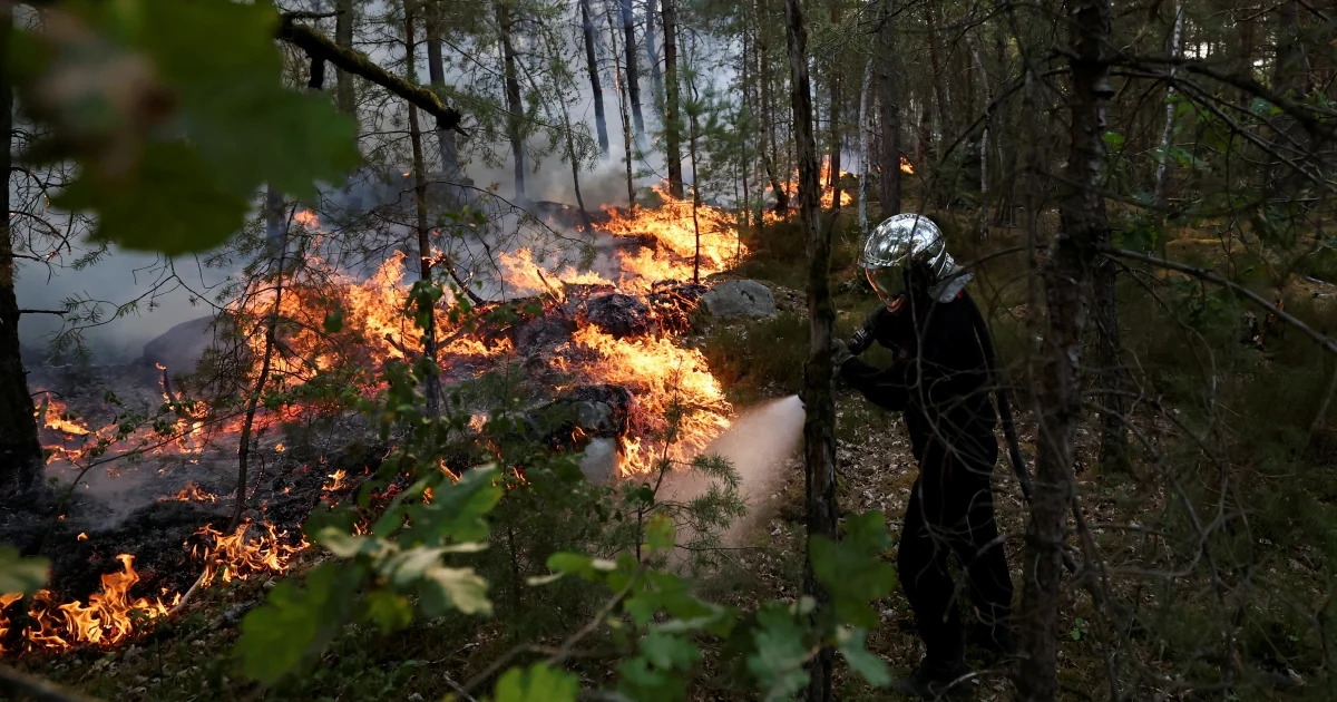Major wildfires consume 1,300 hectares near Paris; arson arrests follow