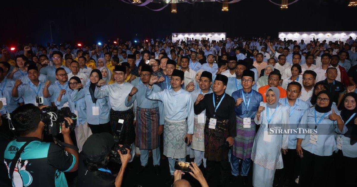 Pakatan Harapan Must Rebuild Voter Confidence, Concedes PKR Youth Leader