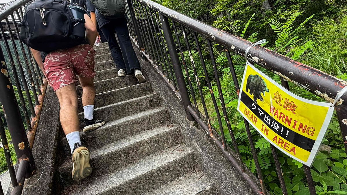 Japan Launches Massive Camera Survey as Bear Attacks Reach Crisis Level