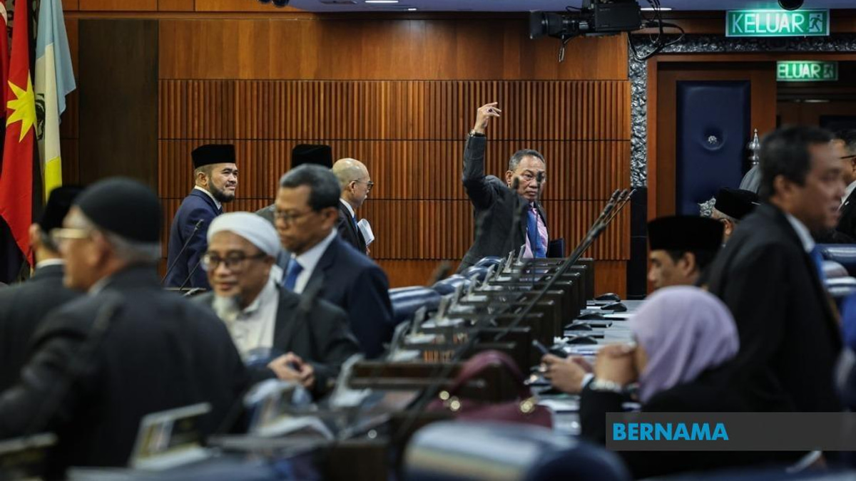 Parliamentary Walkout Weakens Opposition's Oversight Function, Experts Warn