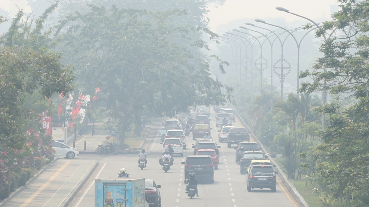 Indonesia's Air Pollution Crisis Deepens as Central Kalimantan Breaches Hazardous Levels