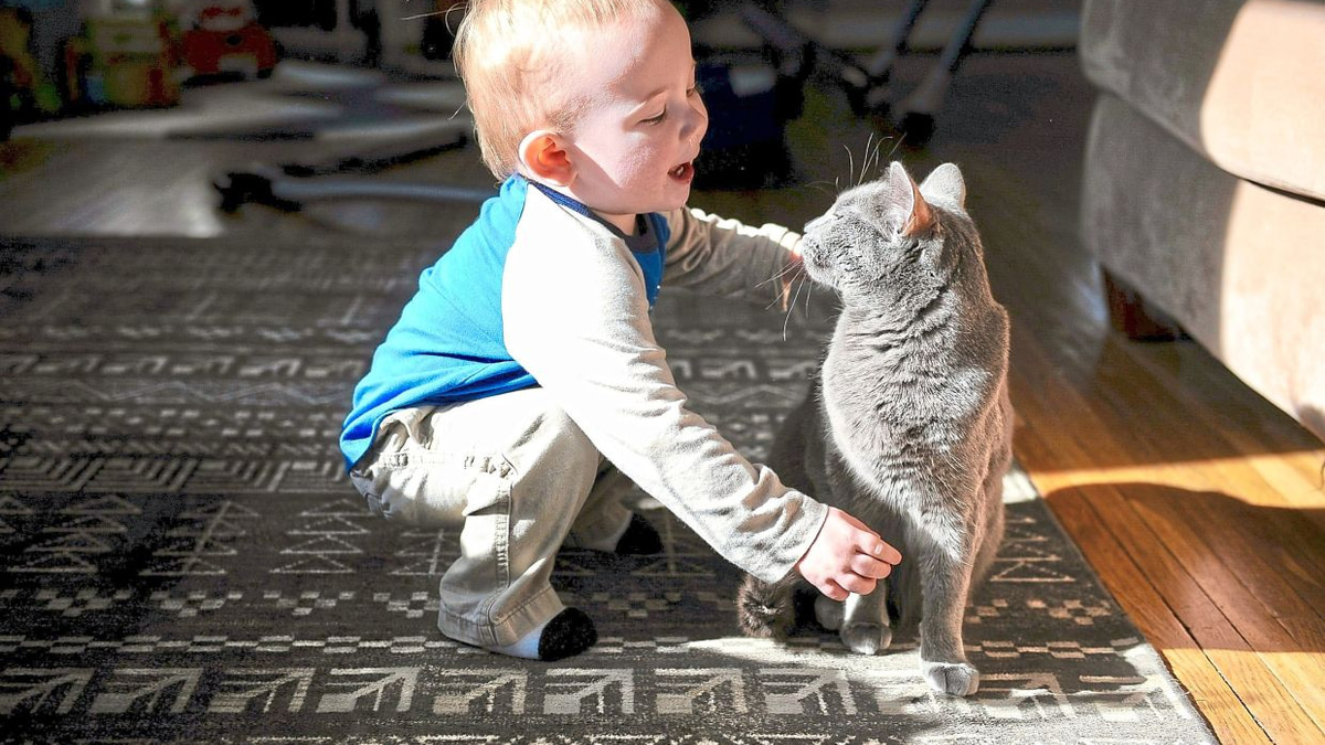 Swedish study finds cat ownership does not worsen childhood asthma
