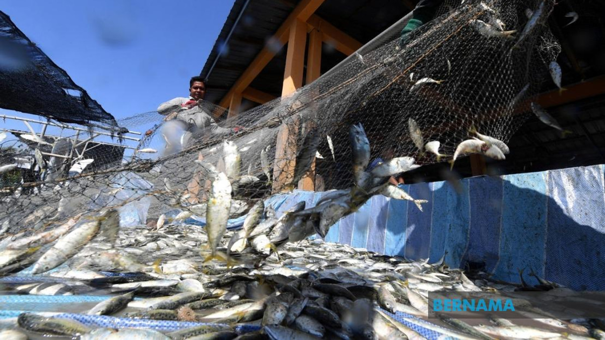 Government Invests RM10 Million in Fishermen Housing Programme Nationwide