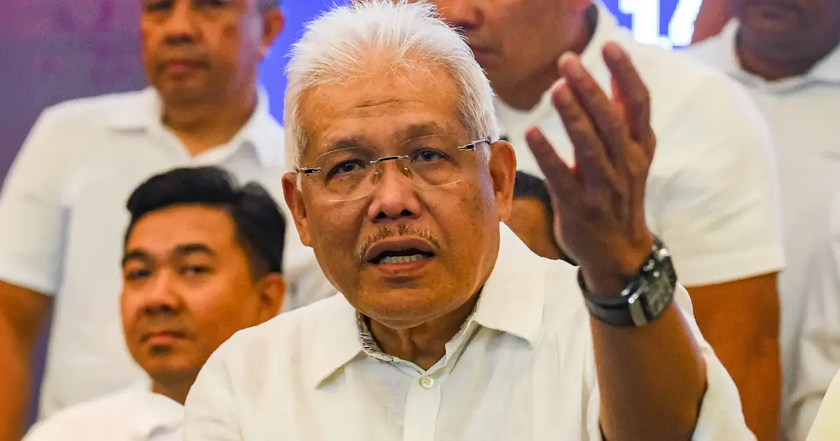New Wawasan party expected to adopt similar Malay-focused strategy as Bersatu, political experts suggest