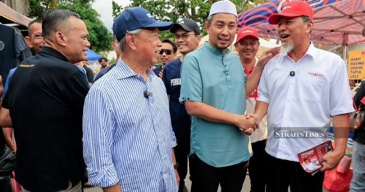 Pachyderm-sized tensions at Pagoh night market as rival candidates campaign for Johor voters