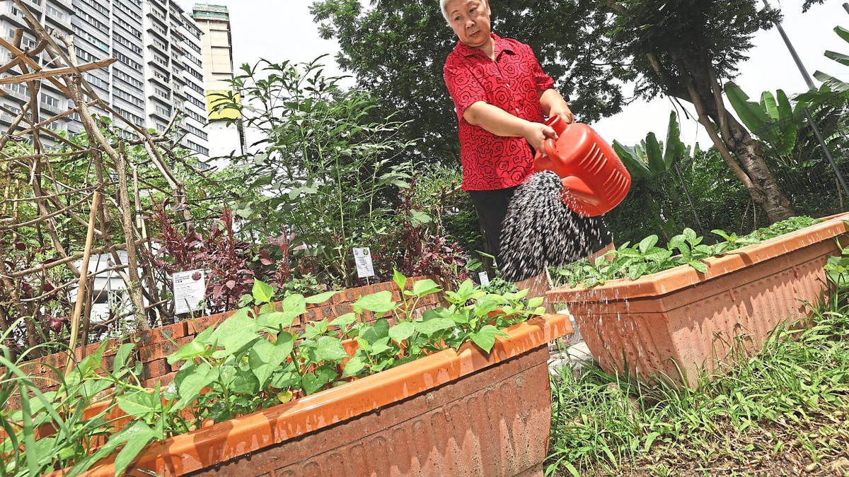 How a Kuala Lumpur food forest is transforming elderly care and community wellness