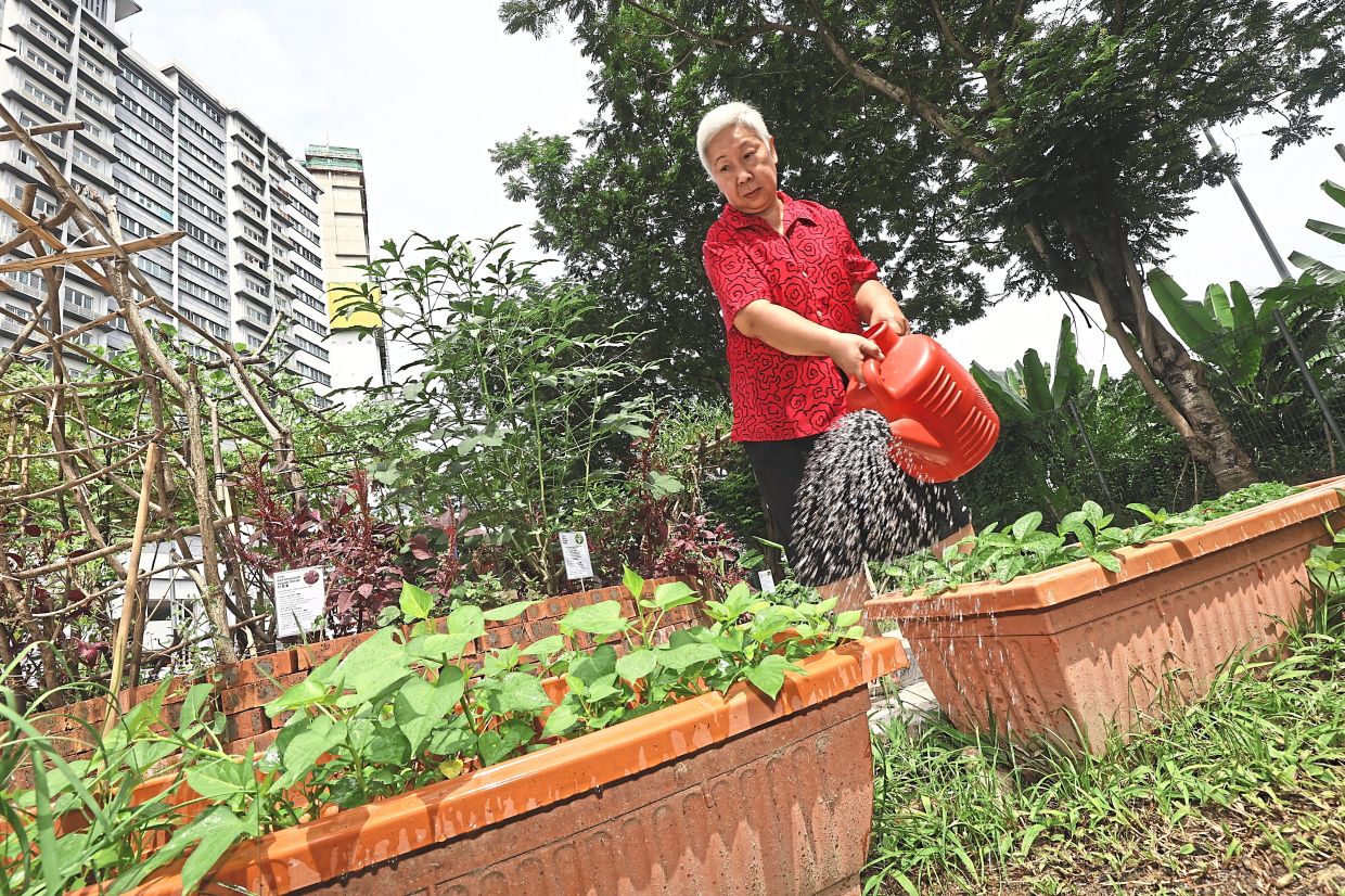 How a Kuala Lumpur food forest is transforming elderly care and community wellness