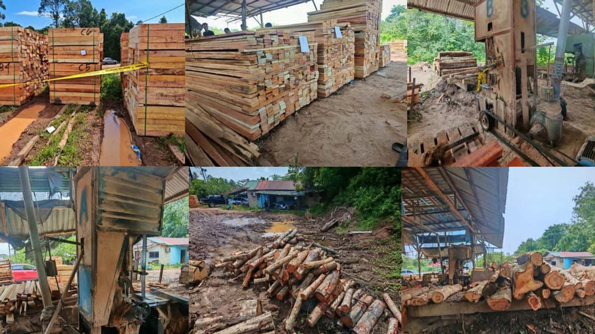 Four detained as authorities crack down on illegal timber operation in Kelantan