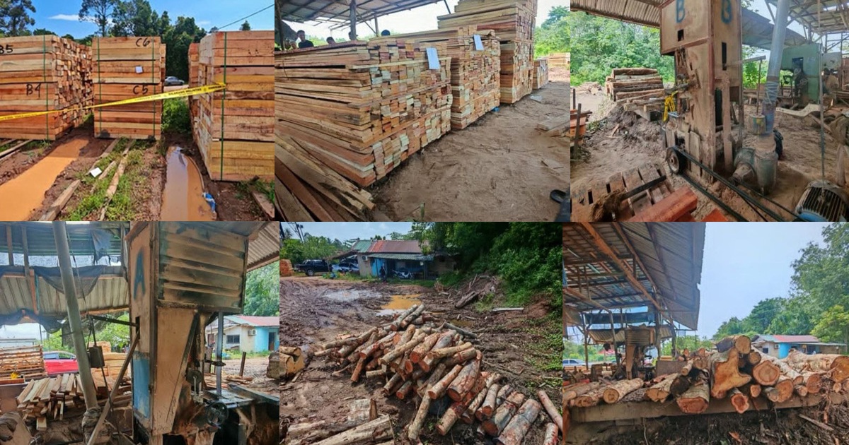 Four detained as authorities crack down on illegal timber operation in Kelantan
